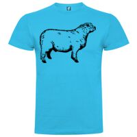 T-shirt Enfant, Awu Adodoé Braco de marque Roly Vignette