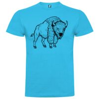 T-shirt Enfant, Awu Adodoé Braco de marque Roly Vignette