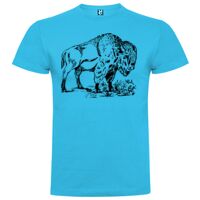 T-shirt Enfant, Awu Adodoé Braco de marque Roly Vignette