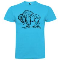 T-shirt Enfant, Awu Adodoé Braco de marque Roly Vignette