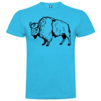 T-shirt Enfant, Awu Adodoé Braco de marque Roly Vignette