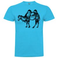 T-shirt Enfant, Awu Adodoé Braco de marque Roly Vignette