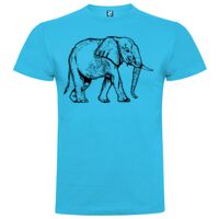 T-shirt Enfant, Awu Adodoé Braco de marque Roly Vignette