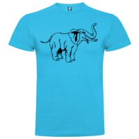 T-shirt Enfant, Awu Adodoé Braco de marque Roly Vignette