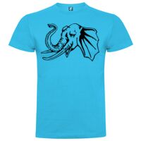 T-shirt Enfant, Awu Adodoé Braco de marque Roly Vignette