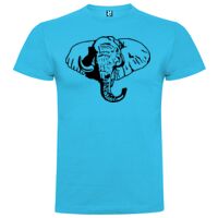 T-shirt Enfant, Awu Adodoé Braco de marque Roly Vignette