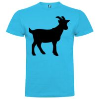 T-shirt Enfant, Awu Adodoé Braco de marque Roly Vignette