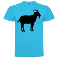 T-shirt Enfant, Awu Adodoé Braco de marque Roly Vignette