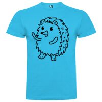 T-shirt Enfant, Awu Adodoé Braco de marque Roly Vignette