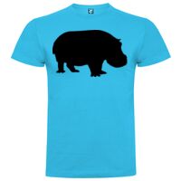 T-shirt Enfant, Awu Adodoé Braco de marque Roly Vignette