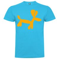 T-shirt Enfant, Awu Adodoé Braco de marque Roly Vignette