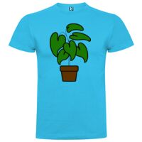 T-shirt Enfant, Awu Adodoé Braco de marque Roly Vignette