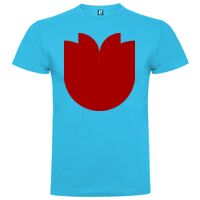 T-shirt Enfant, Awu Adodoé Braco de marque Roly Vignette