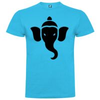 T-shirt Enfant, Awu Adodoé Braco de marque Roly Vignette